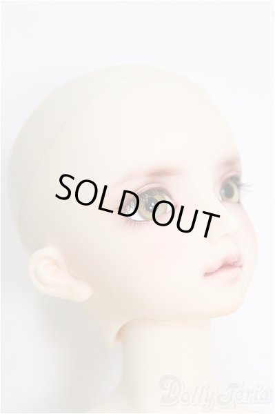 画像3: SD/F-59 ワンオフモデル I-24-10-06-1082-TO-ZI (3)