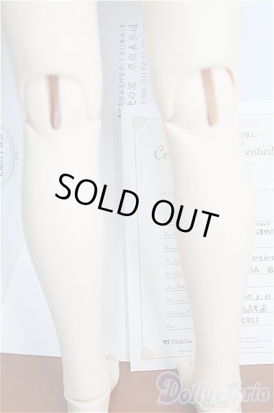 画像7: SD/F-59 ワンオフモデル I-24-10-06-1082-TO-ZI (7)