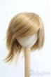 画像1: 8-9inch/ウィッグ I-25-05-11-2024-TO-ZI (1)