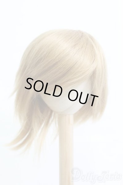 画像1: 8-9inch/ウィッグ I-25-05-11-2024-TO-ZI (1)