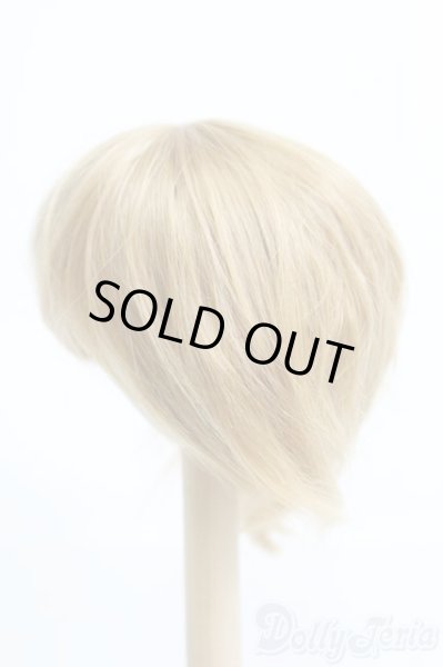 画像2: 8-9inch/ウィッグ I-25-05-11-2024-TO-ZI (2)