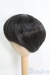 画像2: 9-10inch/ウィッグ I-25-05-04-3021-YB-ZI (2)