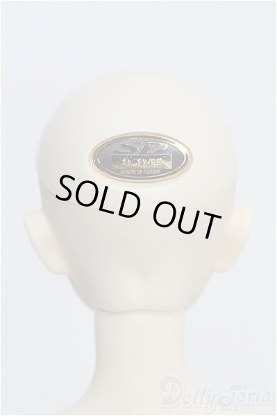 画像5: SD13/エレナ I-24-10-06-1002-TO-ZI (5)