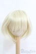 画像1: 9-10inch/ウィッグ I-25-05-25-2028-TO-ZI (1)