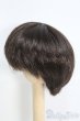 画像2: 7~8inch/ウィッグ I-25-05-11-3026-TO-ZI (2)