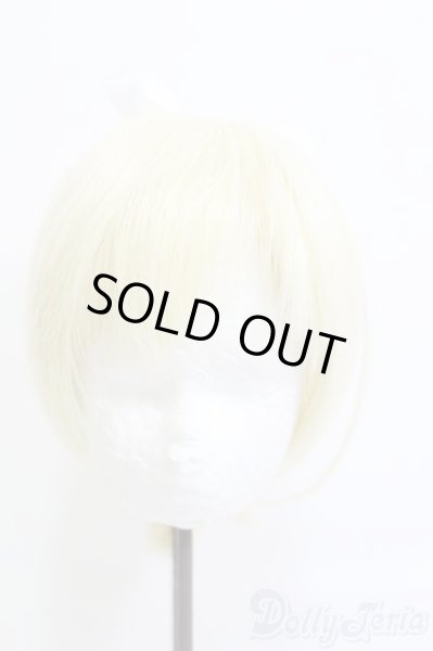 画像1: 8.5inch/ウィッグ I-25-05-11-3035-YB-ZI (1)