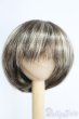 画像1: 7-8inch/ウィッグ I-25-05-11-2013-YB-ZI (1)