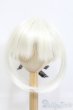 画像1: 9inch/ウィッグ I-25-05-18-2023-TO-ZI (1)