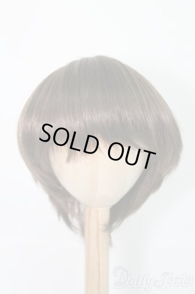 画像1: 8-9inch/ウィッグ/インチ　BJD　MJD　ドール用 I-25-07-13-3026-TO-ZI (1)