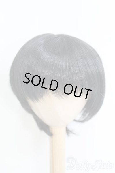 画像1: 8-9inch/ウィッグ/インチ　BJD　MJD　ドール用 I-25-07-06-3026-TO-ZI (1)