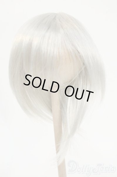 画像1: 8-9inch/ウィッグ Y-26-02-04-170-TO-ZY (1)