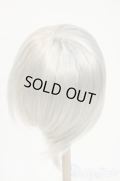 画像2: 8-9inch/ウィッグ Y-26-02-04-170-TO-ZY (2)