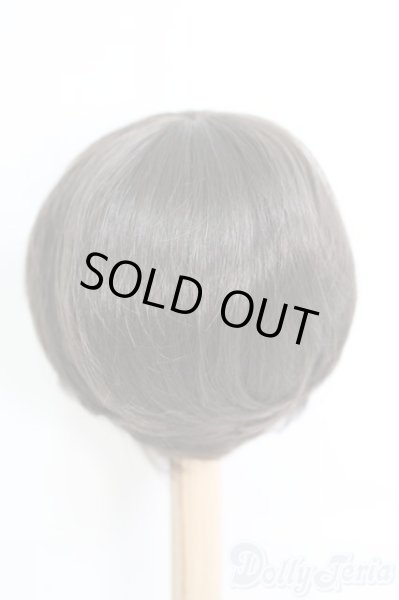 画像2: 9〜10inch/ウィッグ　BJD　MJD　ドール用 I-25-07-06-2048-TO-ZI (2)