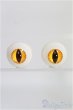 画像1: 【SALE】アクリルアイ/16mm(猫目) I-24-12-15-3015-TO-ZI (1)