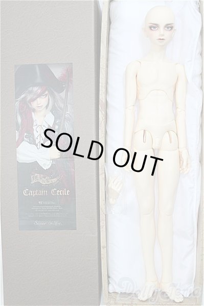 画像4: SD17BOY/キャプテンセシル I-24-12-01-1001-TO-ZI (4)