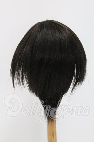 画像2: 9-10inch/ウィッグ I-26-07-23-210-TO-ZI (2)