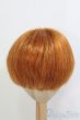 画像3: 8inch/ウィッグ/インチ　BJD　MJD　ドール用 I-25-07-13-2020-TO-ZI (3)