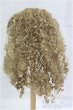画像3: 8-9inch/ウィッグ/インチ　BJD　MJD　ドール用 I-25-09-21-111-TO-ZI (3)