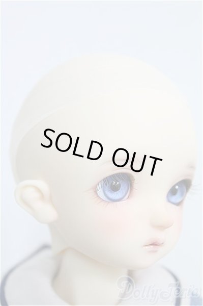 画像3: SDM/コーディネートモデル：F-60 I-24-12-29-1002-TO-ZI (3)