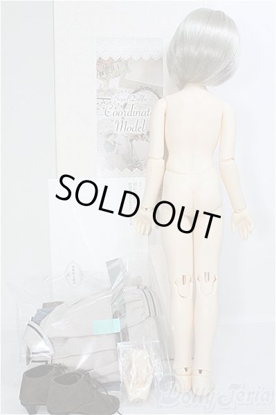 画像8: SDM/コーディネートモデル：F-60 I-24-12-29-1002-TO-ZI (8)