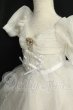 画像3: MDD MSD/OF 恋の歌姫 ライト(RosenliaDoll様) I-26-09-24-344-TO-ZI (3)
