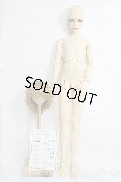 画像5: SD13B/フルチョイス SD-F-38 I-25-02-02-1031-YB-ZI (5)