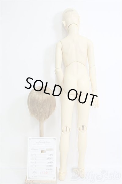 画像6: SD13B/フルチョイス SD-F-38 I-25-02-02-1031-YB-ZI (6)