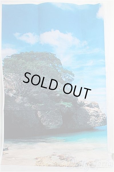 画像1: SD/背景布 I-25-02-16-2129-YB-ZI (1)