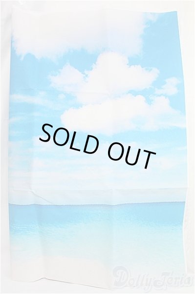 画像2: SD/背景布 I-25-02-16-2129-YB-ZI (2)