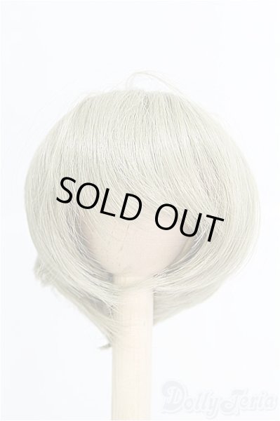 画像1: 8-9inch/ウィッグ I-25-03-02-2023-TO-ZI (1)