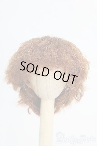 画像1: 7-8inch/ウィッグ I-25-03-02-2014-TO-ZI (1)