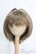 画像1: 8-9inch/ウィッグ I-25-03-09-2019-TO-ZI (1)