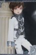 画像1: SDM＆MSD/OF:ホワイトナイト・ミニ I-25-06-01-2078-TO-ZI (1)