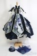 画像1: SD/OF:ドレス I-25-05-04-3031-TO-ZI (1)