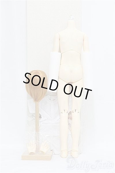 画像2: SDGrB [13 Revival]ボディセット I-25-03-30-1004-YB-ZI (2)