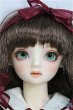 画像1: SD/アダプションモデル:ニコ I-25-03-30-1002-YB-ZI (1)