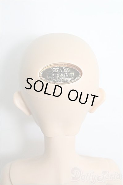 画像4: SDB/フルチョイス:F-105 I-25-04-06-1002-YB-ZI (4)