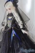 画像1: SD/OF:衣装セット I-25-04-27-1056-YB-ZI (1)