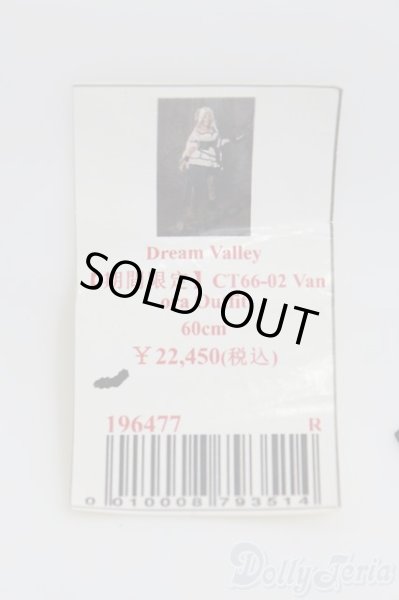 画像1: SD/OF:衣装セット/1/3　60ｃｍ　BJD　MJD　衣装　ドール用 I-25-08-03-306-YB-ZI (1)