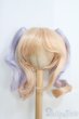 画像1: 9-10inch/ウィッグ I-25-04-27-2025-TO-ZI (1)