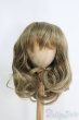 画像1: 11〜12inch/ウィッグ I-25-04-27-3028-TO-ZI (1)