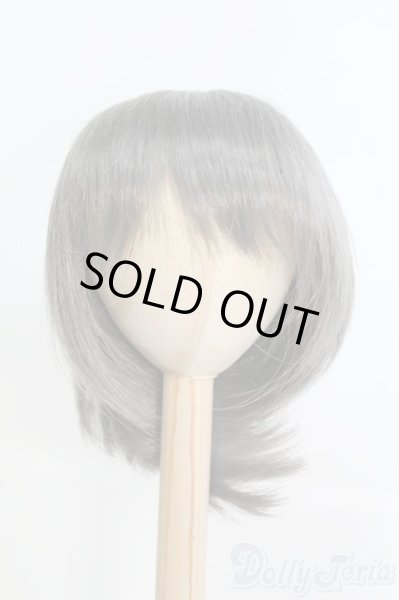 画像1: 9-10inch/ウィッグ I-25-04-27-3026-TO-ZI (1)