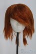 画像1: 9-10inch/ウィッグ I-25-05-25-3051-TO-ZI (1)