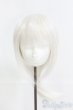 画像1: 8-9inch/ウィッグ I-25-05-11-1046-YB-ZI (1)