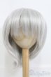 画像1: 8-9inch/ウィッグ I-25-05-11-3046-YB-ZI (1)
