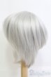 画像2: 8-9inch/ウィッグ I-25-05-11-3046-YB-ZI (2)