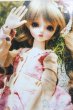 画像1: SDM＆MSD/OF:衣装セット I-25-05-11-3081-TO-ZI (1)