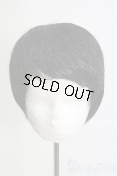 画像1: 8-9inch/ウィッグ I-25-05-25-3041-TO-ZI (1)