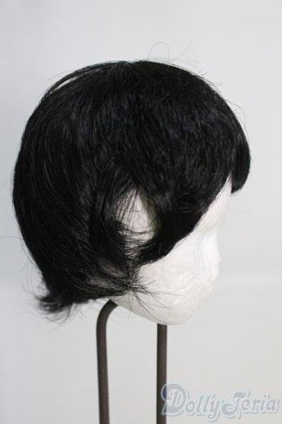 画像2: 8-9inch/ウィッグ I-25-05-25-3041-TO-ZI (2)