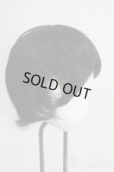 画像2: 8-9inch/ウィッグ I-25-05-25-3041-TO-ZI (2)